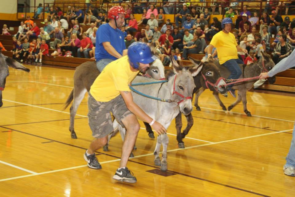 City employees riding and leading donkeys during the donkey ball game